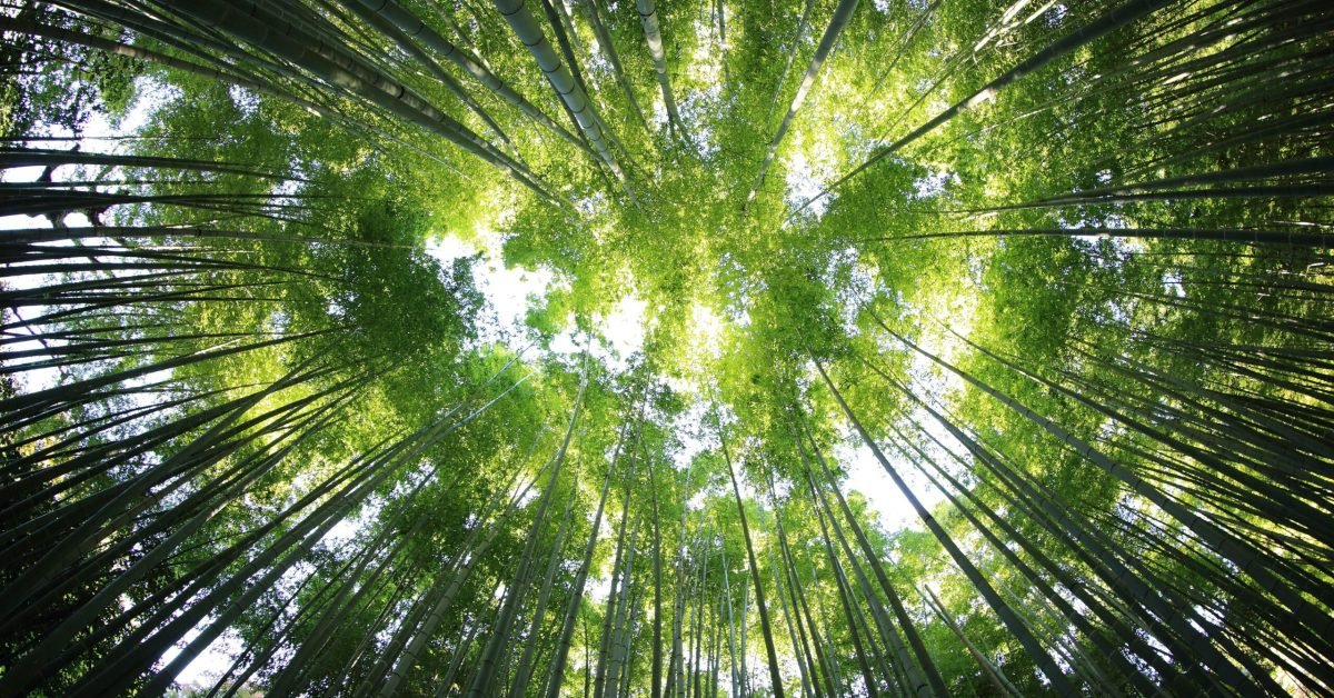 Green World
